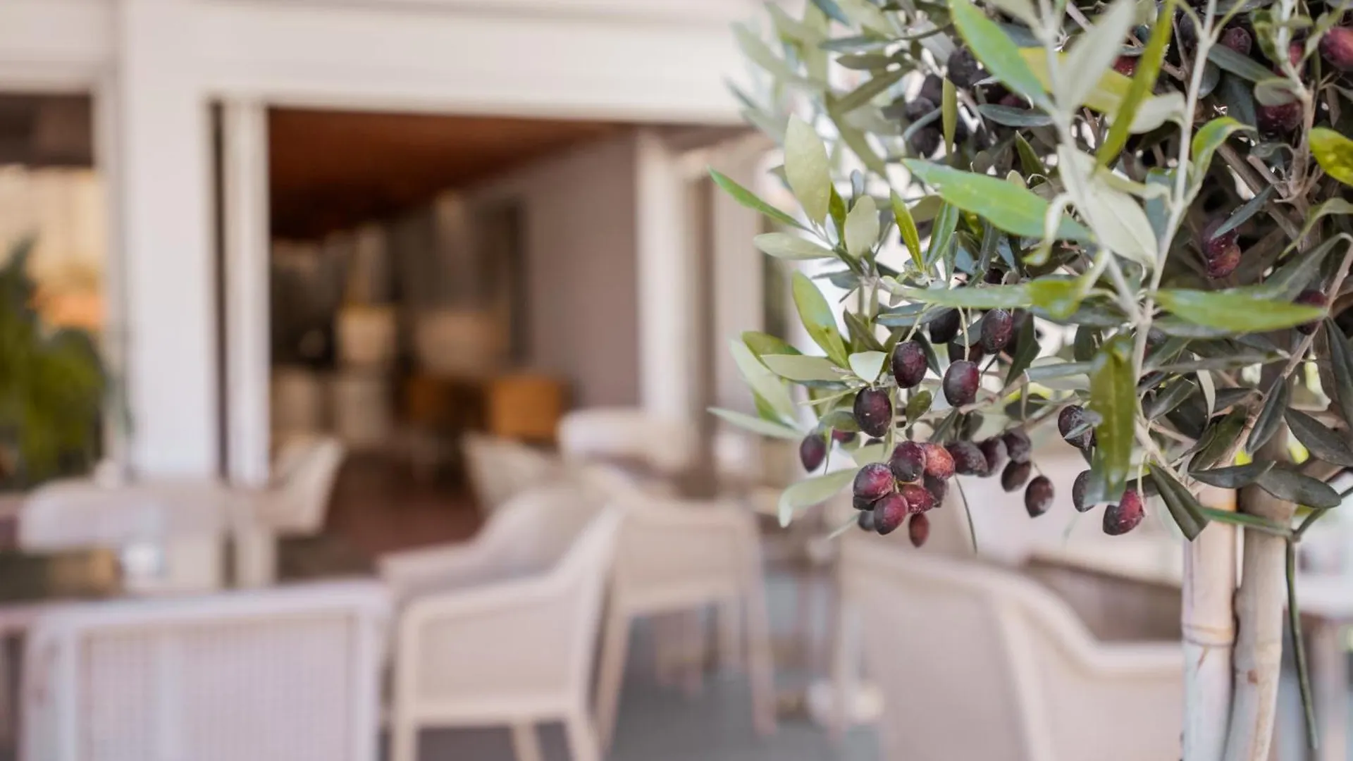 Paul Marie Hotel Apartments Ajia Napa