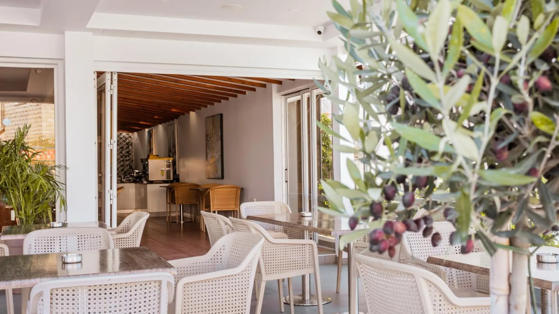 Paul Marie Hotel Apartments Ajia Napa Hotel apartamentowy